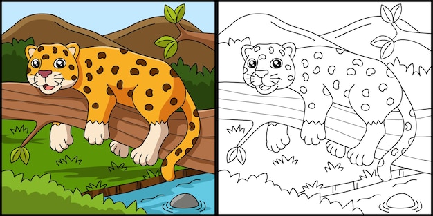 91 Collection Jaguar Animal Coloring Pages  Latest HD