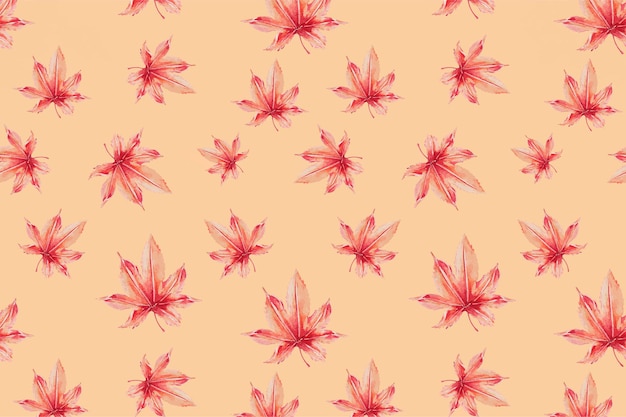 Японский цветочный узор фона, ремикс на произведения мегаты морикага