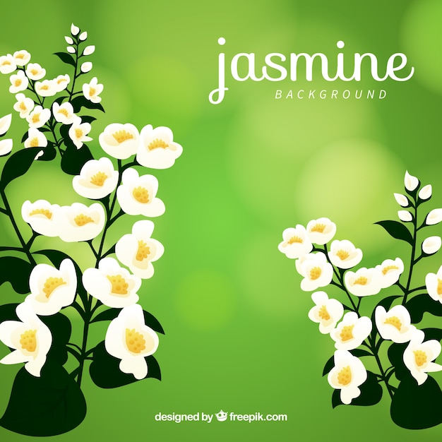 Jasmine background with decorative style