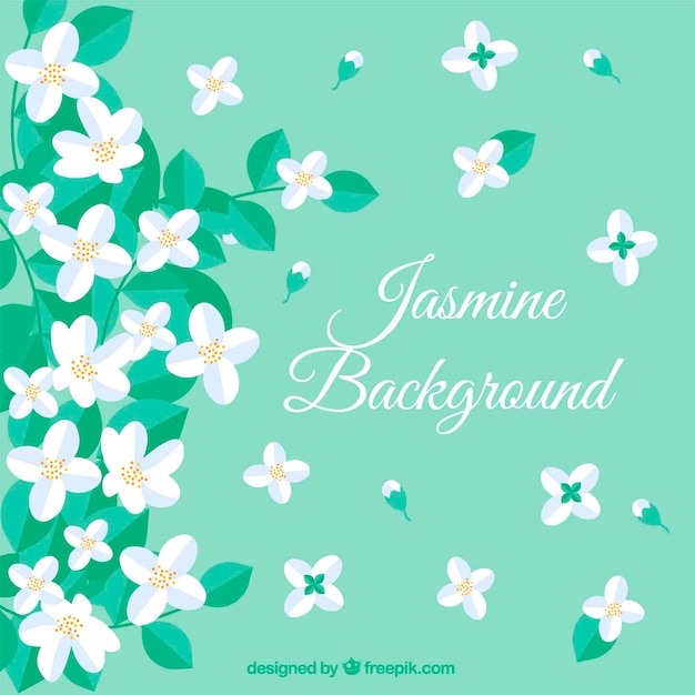 Бесплатное векторное изображение Жасминовый фон с плоскими цветами