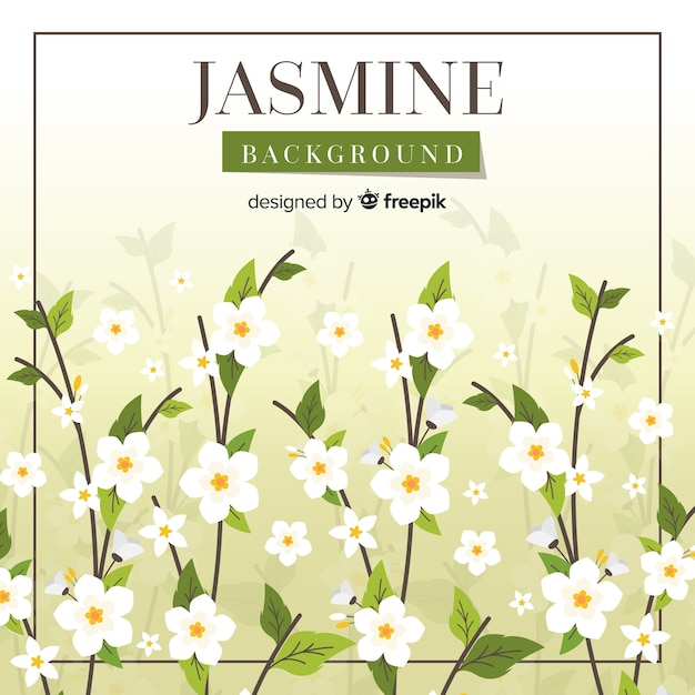 Free vector jasmine background