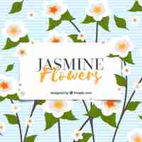 Free vector jasmine with leaves background