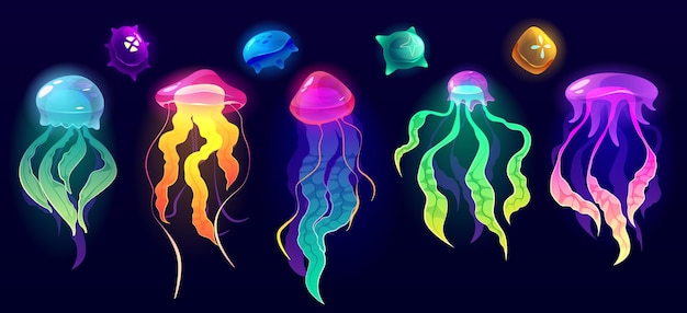 Free vector jellyfish underwater animals colorful jelly fish