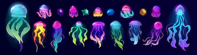 해파리 수중 동물 다채로운 해파리