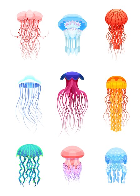クラゲセット 白い背景にさまざまな色のイラストの美しい海の生き物 プレミアムベクター