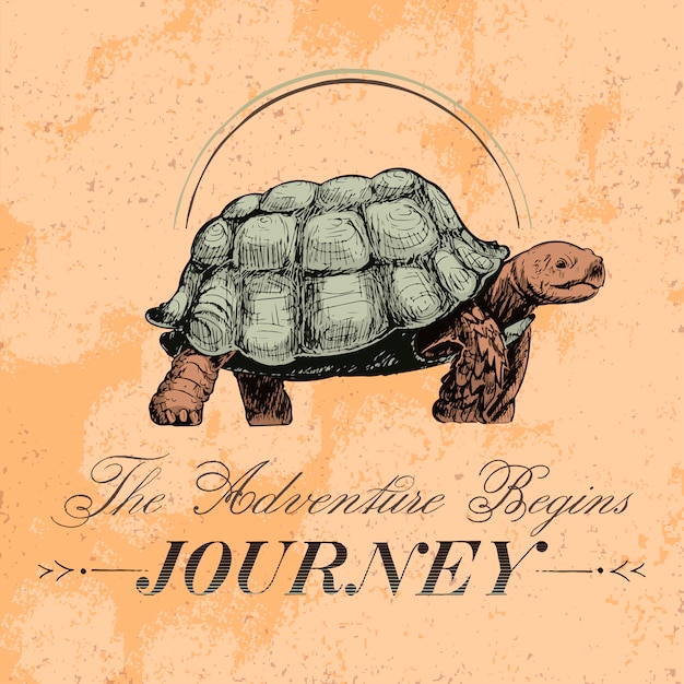 Бесплатное векторное изображение Вектор дизайна путешествия и путешествия