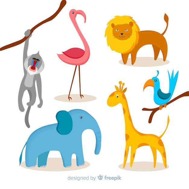 Jungle animals set: baboon monkey, flamingo, lion, bird, elephant, giraffe