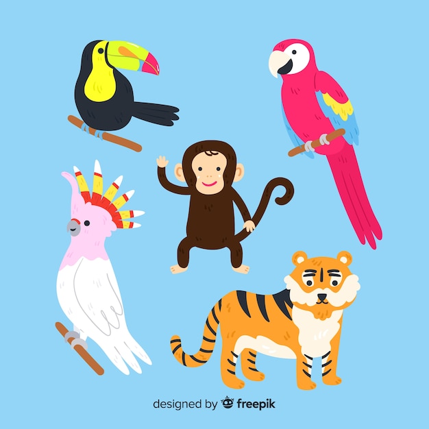 Free vector jungle animals set: toucan, parrot, monkey, tiger