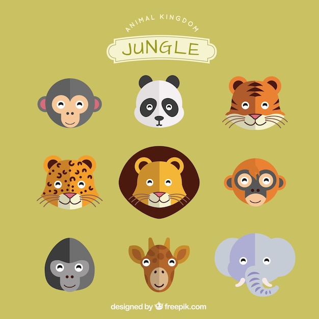 Jungle animals set