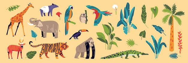 동식물 동물 종의 고립 된 아이콘과 이국적인 열대 우림 식물 벡터 일러스트 레이 션의 정글 색상 세트
