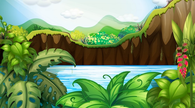 Jungle outdoors background scene