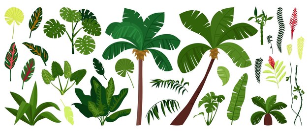 정글 식물 색 및 고립 된 아이콘 설정 야자수 녹색 잎과 수풀 벡터 일러스트 레이 션