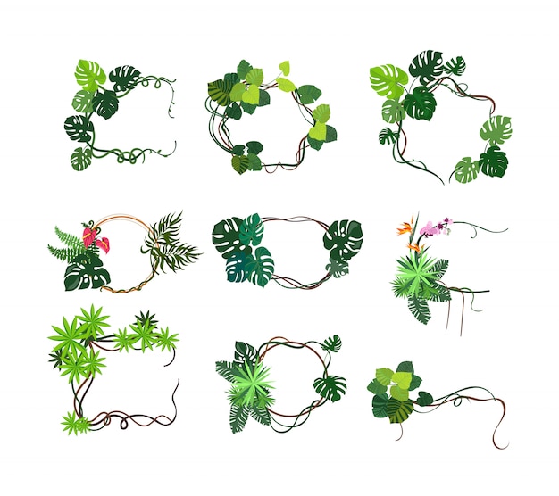 Jungle plants frames set