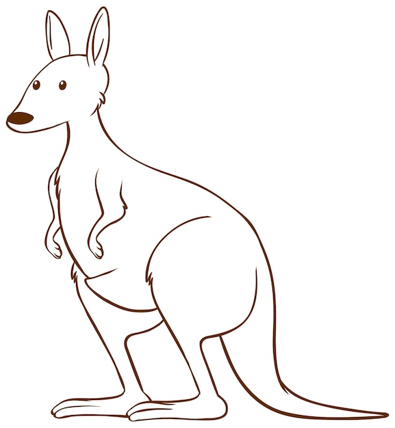 Kangaroo in doodle simple style on white background