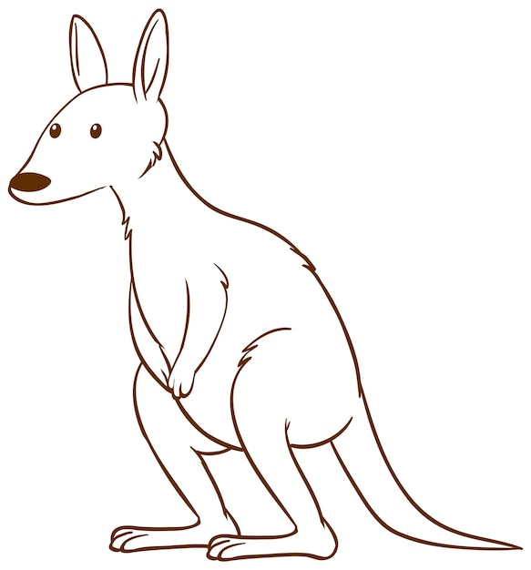 Kangaroo in doodle simple style on white background