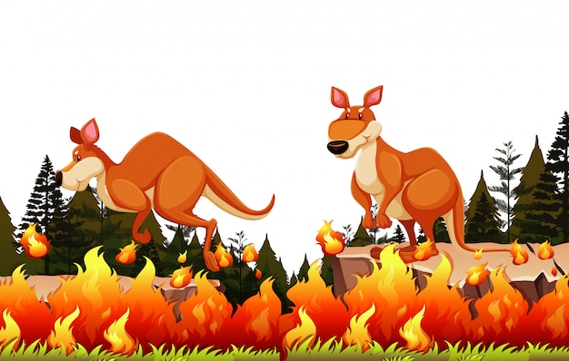 Free vector kangaroo escape the bushfire