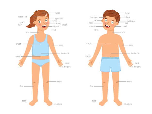 Kids body parts infographic. vector human body education infographics with cartoon boy and girl children and text labels isolated on white background