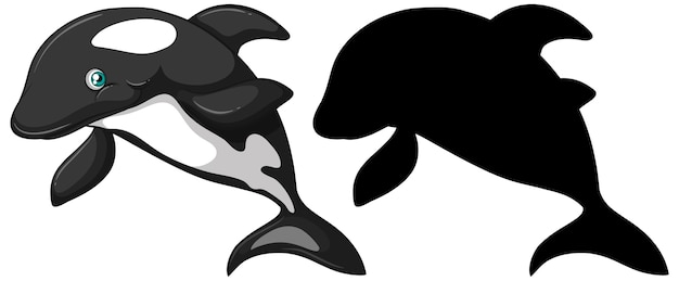 Free vector killer whale characters and its silhouette on white background