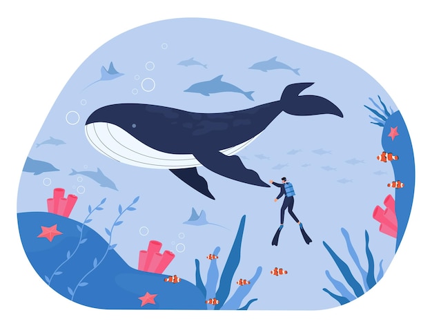 Killer whale and tiny scuba diver swimming under ocean water. Exploration of tropical marine life, underwater coral reef and fishes by character flat vector illustration. Wildlife, nature concept