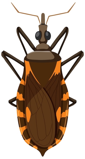 Free vector kissing bug on white background