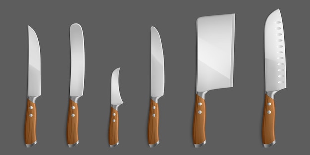 Kitchen knives set, meat chef cutting hatchet, cooking cutlery types, realistic kitchenware meat carving, butter, birds beak paring, cleaver and santoku isolated steel choppers, 3d vector illustration