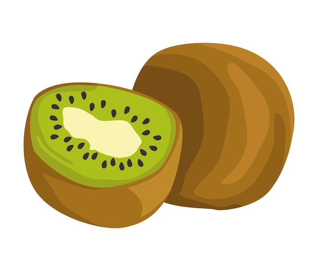 Vettore gratuito disegno isolato dell'icona della frutta fresca del kiwi