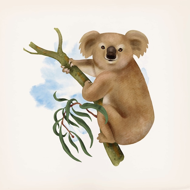 Koala retro animal illustration