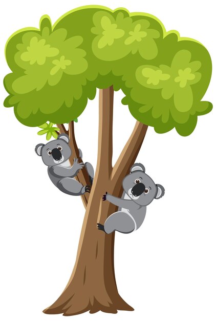 Koalas on tree cartoon character