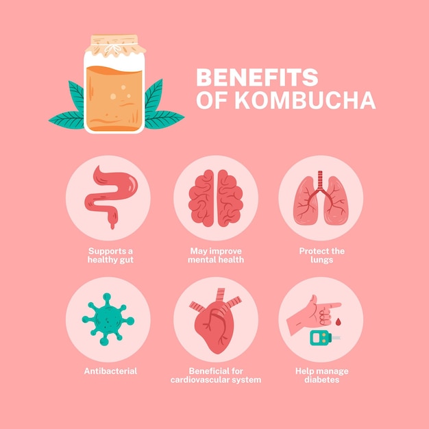 Vettore gratuito benefici del tè kombucha illustrati