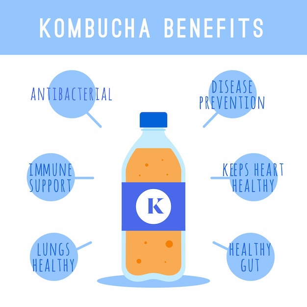 Free vector kombucha tea benefits