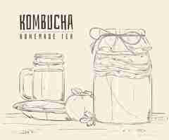 Free vector kombucha tea