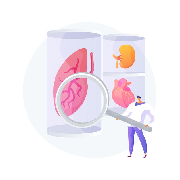 Free vector lab-grown organs abstract concept vector illustration. laboratory-grown stem cells, bioartificial organs, artificial human body parts, growing transplant in lab, bio-engineering abstract metaphor.