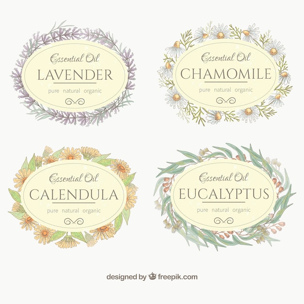 Free vector labels collection in vintage style