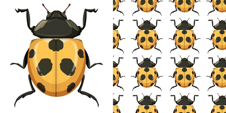 Free Vector ladybug insect and seamless