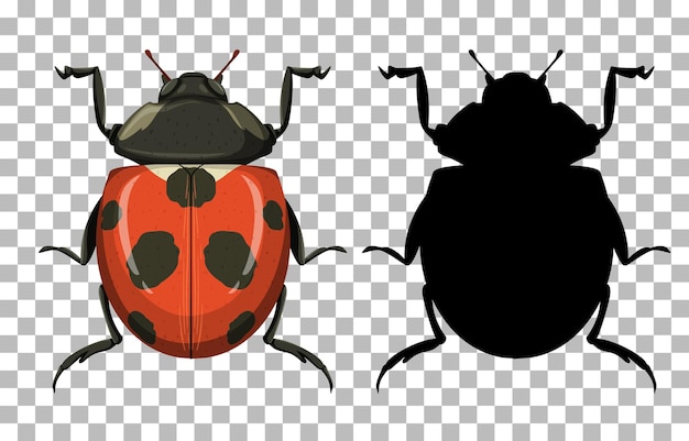 Plugbug duo