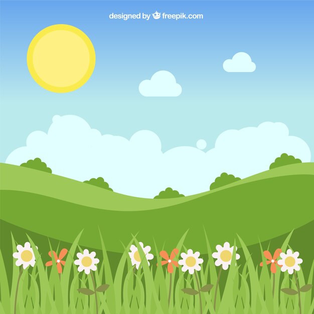 Landscape background with daisies and pretty sun