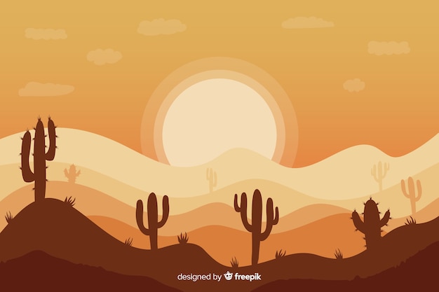 Landscape of cacti arrangement and dawn
