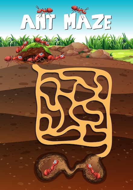 Free vector landscape design with ants underground