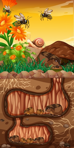 Free vector landscape design with groundhogs and bees