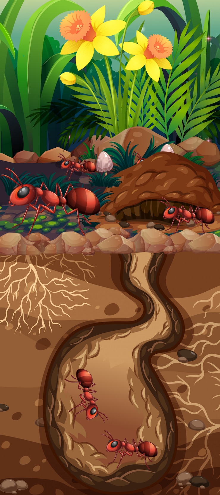 Free Vector landscape design with red ants underground