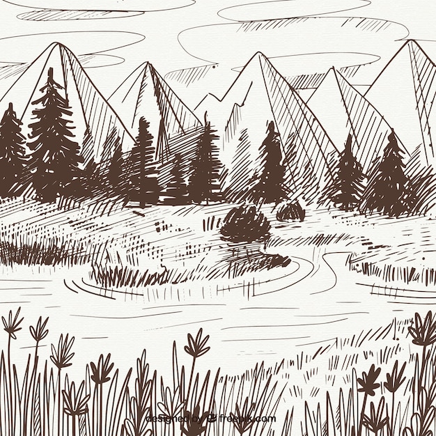 Free vector landscape sketch of mountains and pines