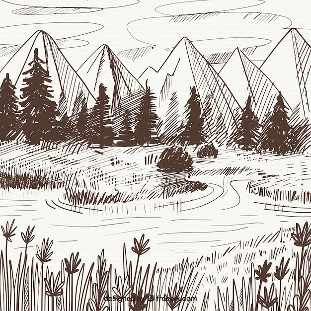산과 소나무의 풍경 스케치