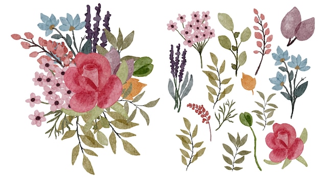 Large Botanical set of wild flowers Set of Separate parts and bring together to beautiful bouquet of flowers in water colors style on white background flat vector illustration