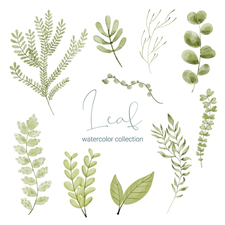 無料Vector 野生の花の大規模な植物のセット別々のパーツのセットと白い背景のフラットベクトルイラストに水の色のスタイルで花の美しい花束にまとめる