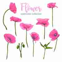 Free vector large botanical set of wild flowers set of separate parts and bring together to beautiful bouquet of flowers in water colors style on white background flat vector illustration