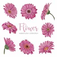 Free vector large botanical set of wild flowers set of separate parts and bring together to beautiful bouquet of flowers in water colors style on white background flat vector illustration