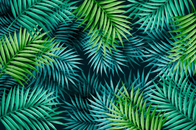 Large exotic green leaves background