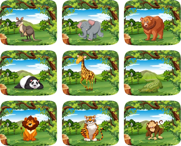 Free vector large set of animals in scenes