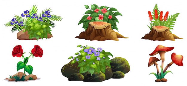 Free vector large set of colorful flowers on rocks and wood