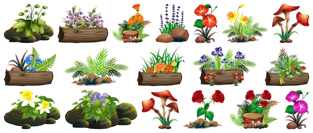 Free vector large set of colorful flowers on rocks and wood